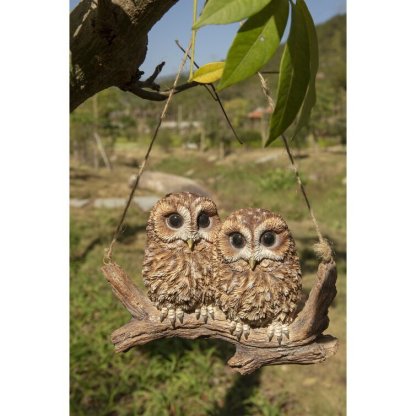 Hanging Baby Owlets on a Branch