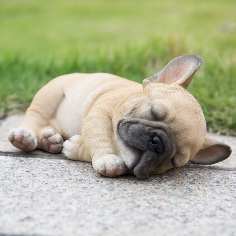 Sleeping French Bulldog Puppy Statue