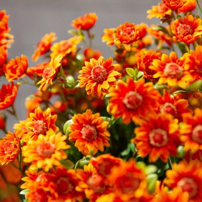 ⚡Artificial Outdoor Sunset Mums Flowers - UV resistant, Waterproof, Windproof