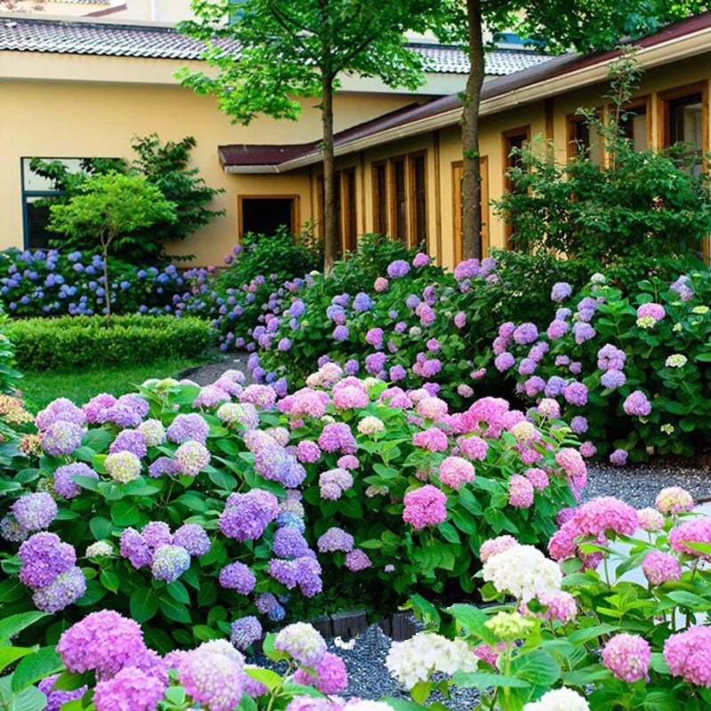 Outdoor Artificial Hydrangea Flowers💐(20cm)
