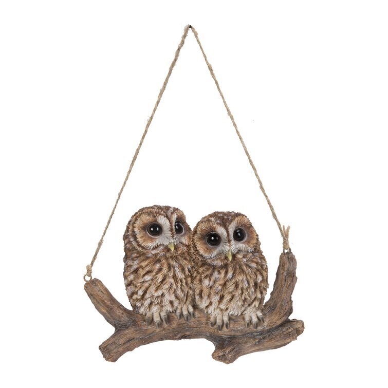 Hanging Baby Owlets on a Branch