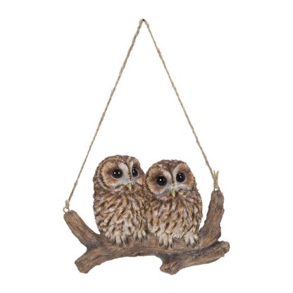 Hanging Baby Owlets on a Branch