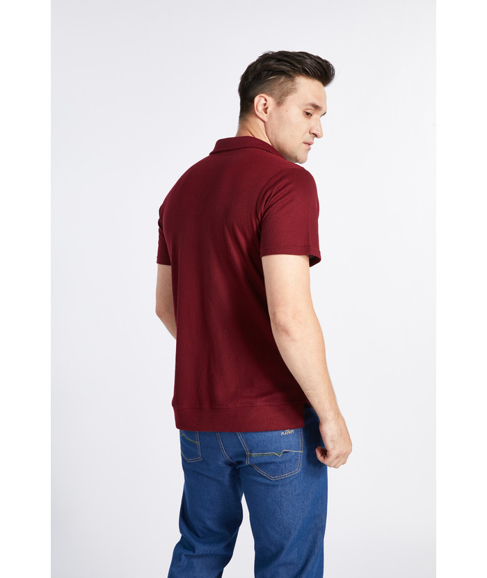 ZITY Men's Half Sleeve Solid Casual Polo Neck Cotton Blend Shirt-CFMPO00168 | Zitysports