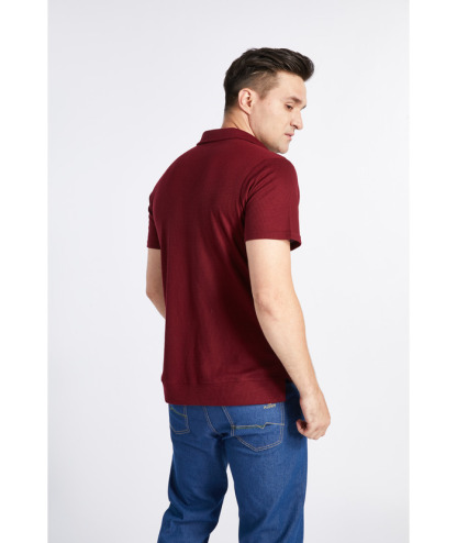 ZITY Men's Half Sleeve Solid Casual Polo Neck Cotton Blend Shirt-CFMPO00168 | Zitysports