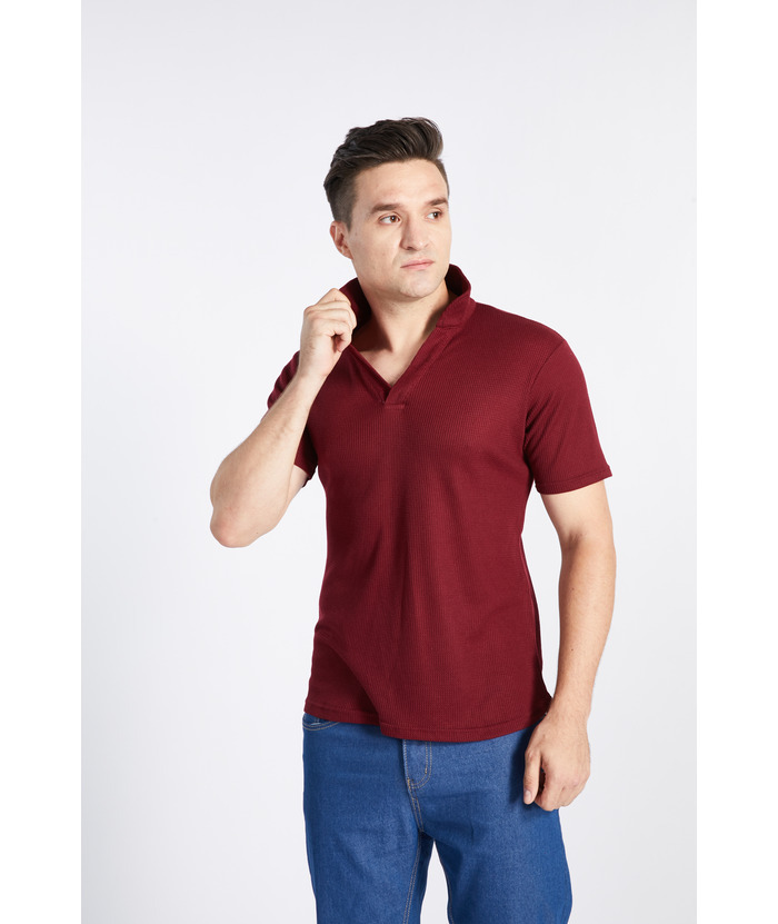 ZITY Men's Half Sleeve Solid Casual Polo Neck Cotton Blend Shirt-CFMPO00168 | Zitysports