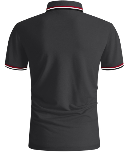 ZITY Men's Slim Fit Sports Golf Tennis Quick Dry Polo Shirt-ZPK001207 | Zitysports