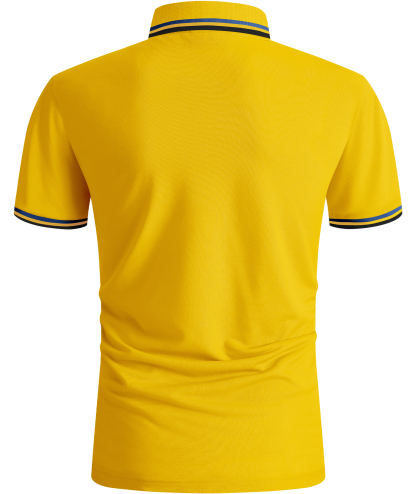 ZITY Men's Slim Fit Sports Golf Tennis Quick Dry Polo Shirt-ZPK001207 | Zitysports
