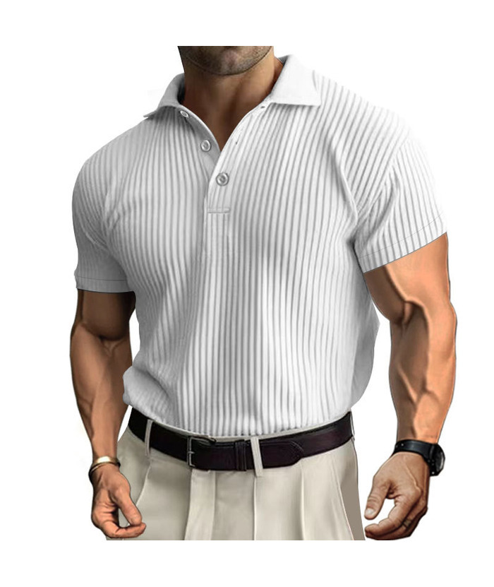 ZITY Men's Texture Casual Wrinkle Free Elasticity Short Sleeve Polo Shirt-ZPK010471 | Zitysports