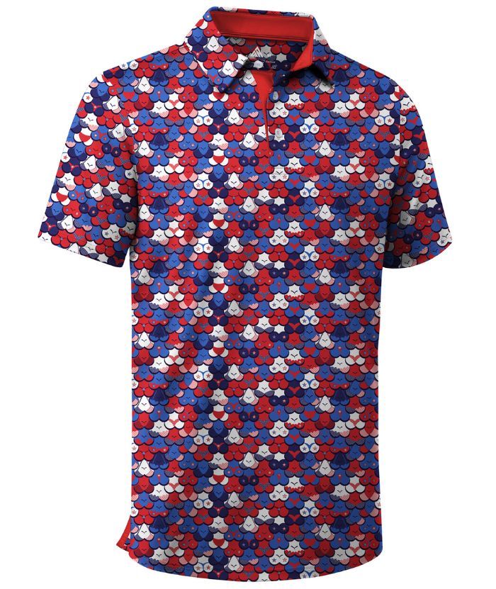 ZITY Men's Button Up Slim Fit Printed Polo Shirt-CUMPO05189