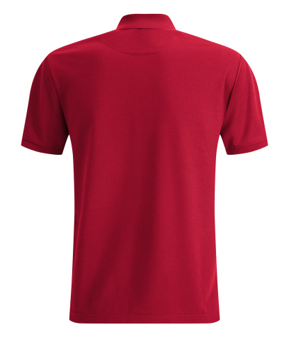 ZITY Men's Athletic Golf Polo Shirt-CUMPO01637