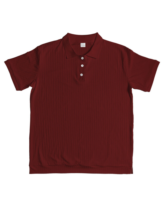ZITY Men's Texture Casual Wrinkle Free Elasticity Short Sleeve Polo Shirt-ZPK010471 | Zitysports