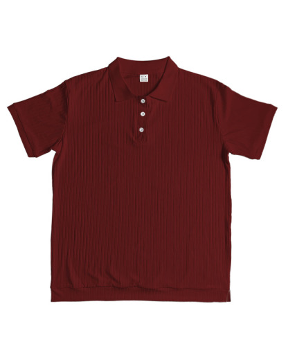 ZITY Men's Texture Casual Wrinkle Free Elasticity Short Sleeve Polo Shirt-ZPK010471 | Zitysports