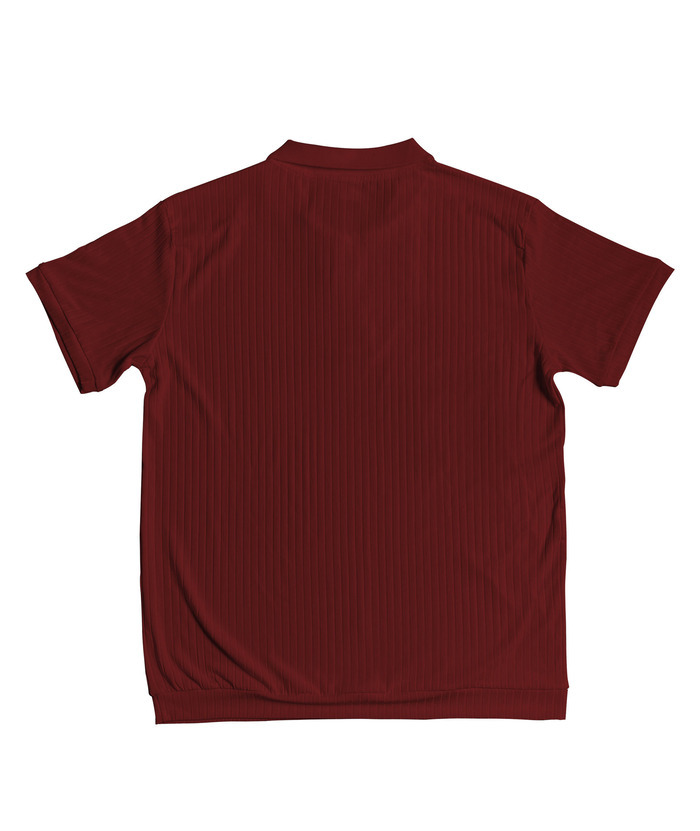 ZITY Men's Texture Casual Wrinkle Free Elasticity Short Sleeve Polo Shirt-ZPK010471 | Zitysports