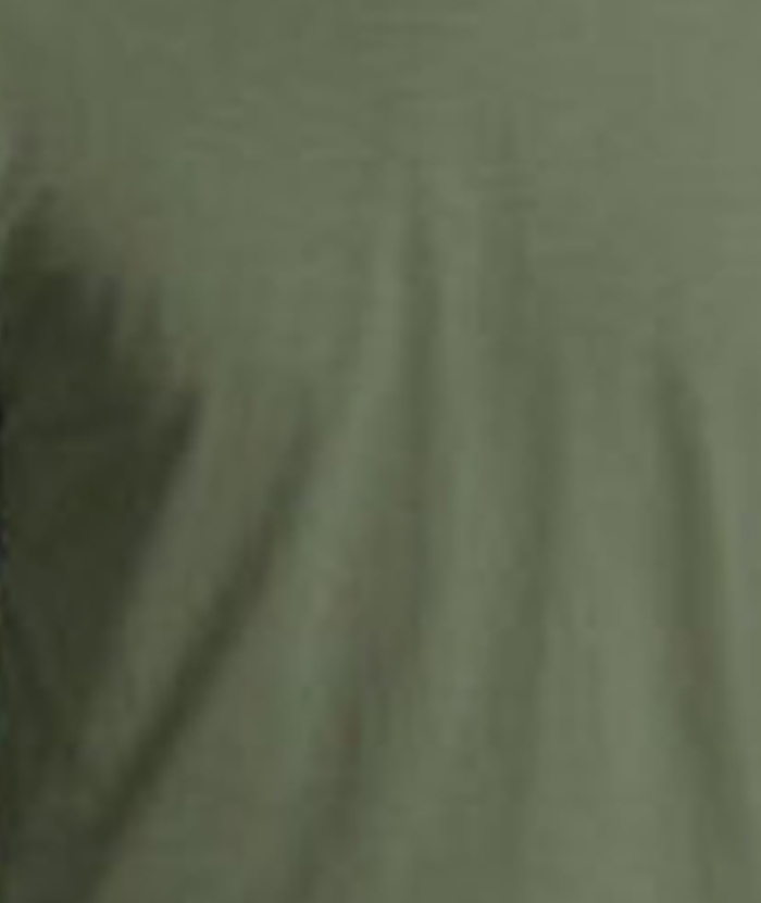 ZITY Men's Round Neck Cotton Dry Fit T-Shirt-DUMTS05328|Zitysports