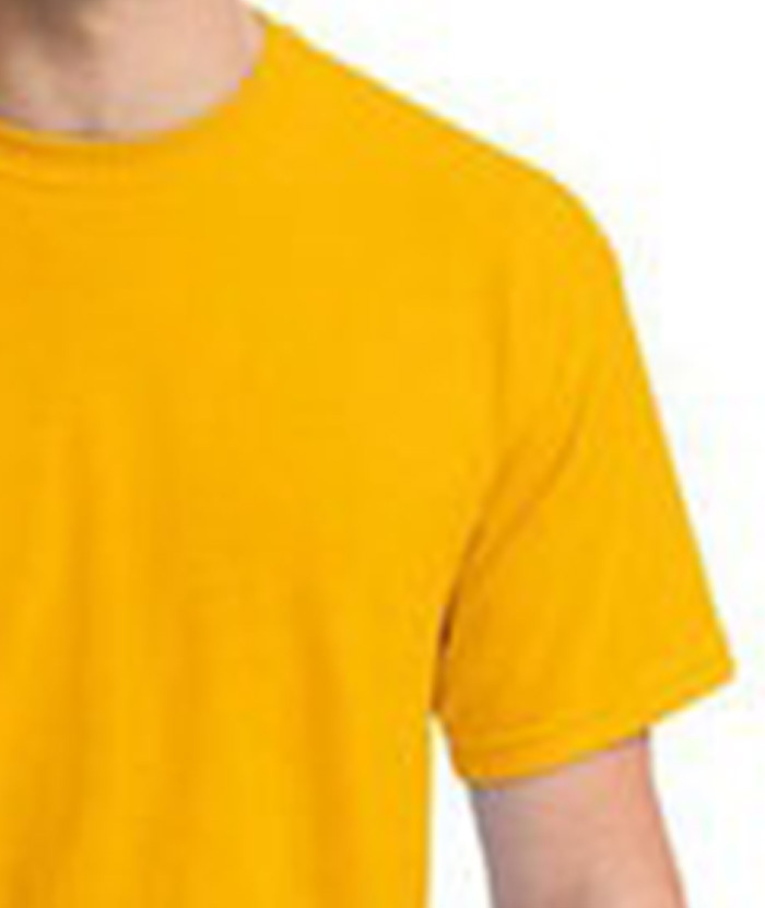 ZITY Men's Round Neck Cotton Dry Fit T-Shirt-DUMTS05328|Zitysports