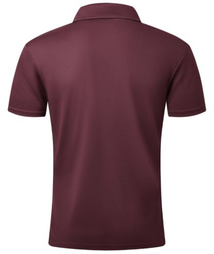 ZITY Men's Button Up Dri Fit Polo Shirt-CUMPO02332