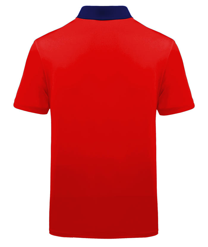 ZITY Men's US Flag Dri Fit Performance Golf Polo Shirt-APOH700105