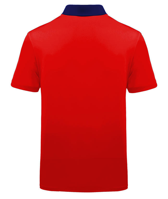 ZITY Men's US Flag Dri Fit Performance Golf Polo Shirt-APOH700105
