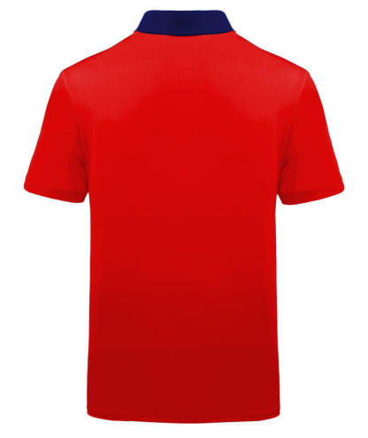 ZITY Men's US Flag Dri Fit Performance Golf Polo Shirt-APOH700105