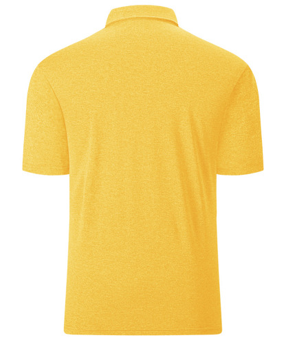 ZITY Men's Golf Sports Polo Short Sleeve Athletic Tennis Shirt-ZPK000671|Zitysports