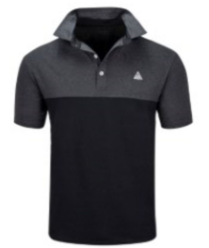 ZITY Men's Color Block Dri Fit Polo Shirt-APOH700109