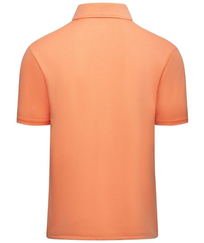 ZITY Men's Color Block Dri Fit Polo Shirt-APOH700109