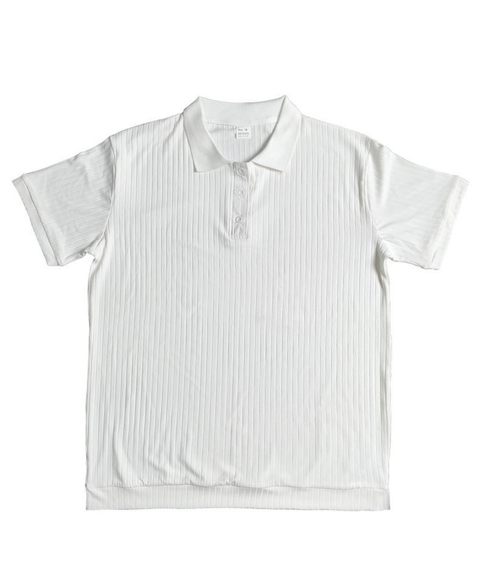 ZITY Men's Texture Casual Wrinkle Free Elasticity Short Sleeve Polo Shirt-ZPK010471 | Zitysports
