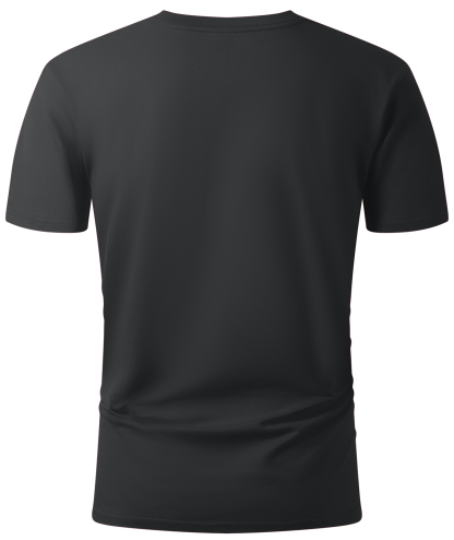 ZITY Men’s Solid Color Regular Fit Short Sleeve Crew Neck T-Shirt Casual Summer Top-CUMTS06485