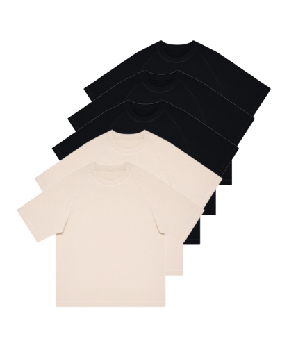 5-Pack Unisex  8.85 oz Heavyweight 100 Cotton Raglan Sleeve T-Shirts-DZUHE00163