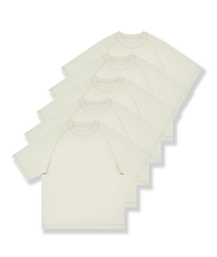 5-Pack Unisex  8.85 oz Heavyweight 100 Cotton Raglan Sleeve T-Shirts-DZUHE00163