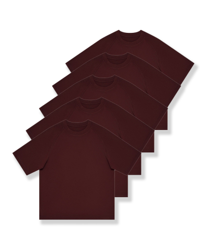 5-Pack Unisex  8.85 oz Heavyweight 100 Cotton Raglan Sleeve T-Shirts-DZUHE00163