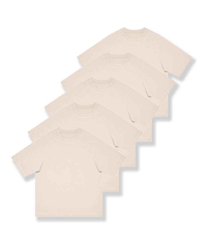 5-Pack Unisex  8.85 oz Heavyweight 100 Cotton Raglan Sleeve T-Shirts-DZUHE00163