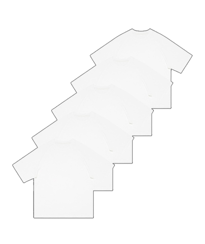 5-Pack Unisex  8.85 oz Heavyweight 100 Cotton Raglan Sleeve T-Shirts-DZUHE00163