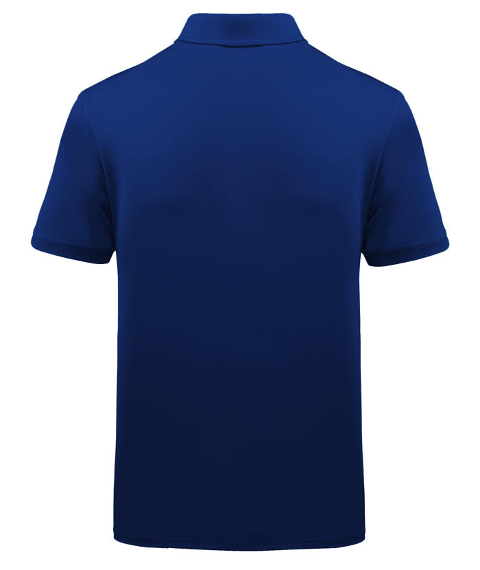 ZITY Men's Striped Color Block Dri Fit Polo Shirt-APOH700052