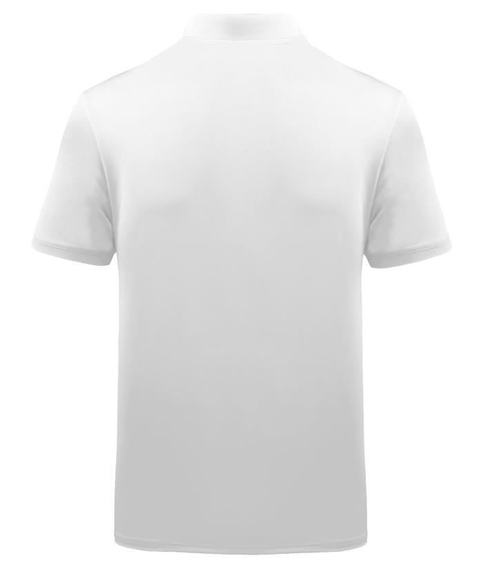 ZITY Men's Striped Color Block Dri Fit Polo Shirt-APOH700052