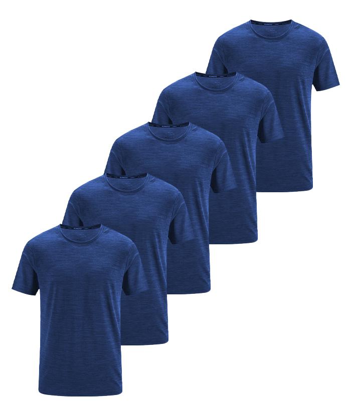 5 Pack ZITY Men's Summer Dri Fit Sports T-Shirt-DZUHE00168