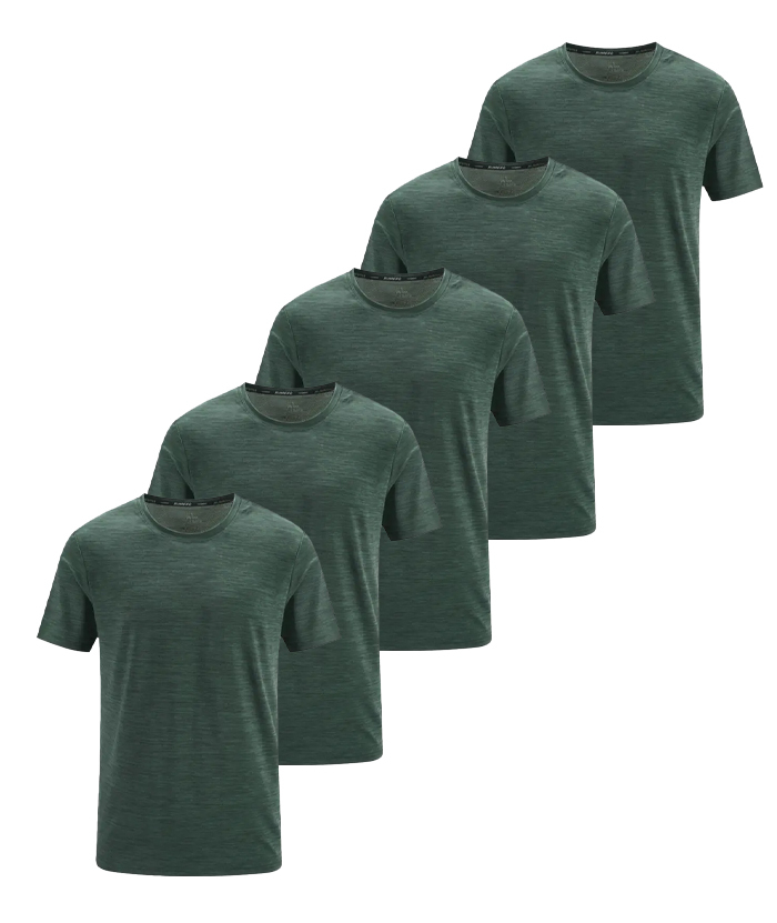 5 Pack ZITY Men's Summer Dri Fit Sports T-Shirt-DZUHE00168