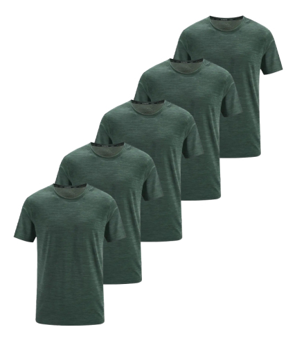 5 Pack ZITY Men's Summer Dri Fit Sports T-Shirt-DZUHE00168