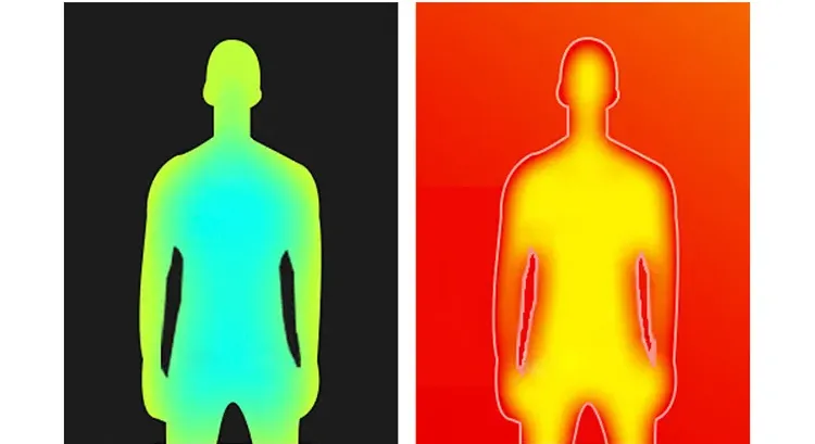 Body warmth before and after display