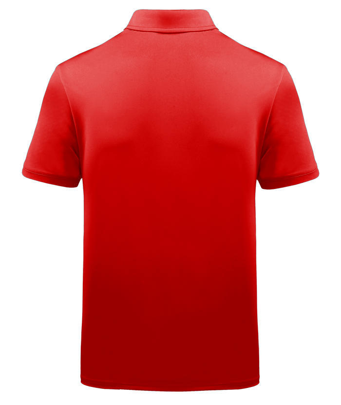 ZITY Men's Striped Color Block Dri Fit Polo Shirt-APOH700052