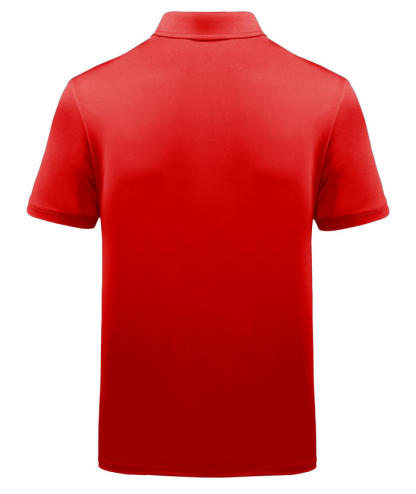ZITY Men's Striped Color Block Dri Fit Polo Shirt-APOH700052