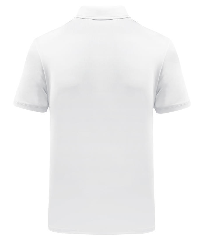 ZITY Men's Striped Color Block Dri Fit Polo Shirt-APOH700052