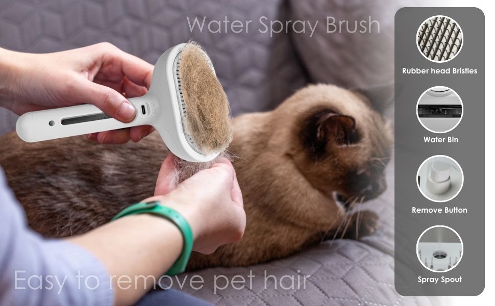 cat brush with water