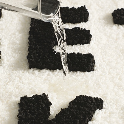 Bathroom Humor "Get Naked" Flocked Rug