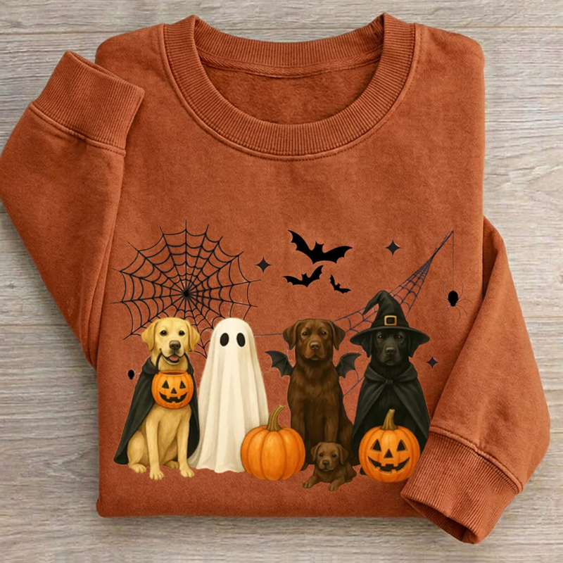 Halloween Dog Sweatshirt