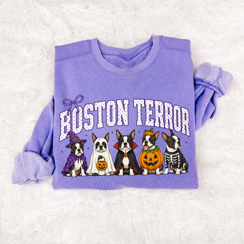 Vintage Boston Terrier Dog Witch Hat T-shirt/Sweatshirt