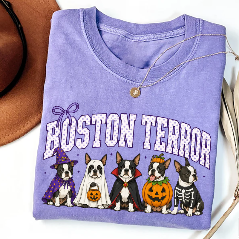 Vintage Boston Terrier Dog Witch Hat T-shirt/Sweatshirt
