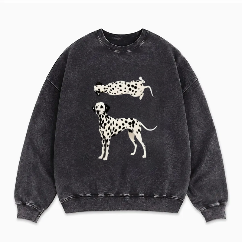 Dalmatian Dog Graphic Sweatshirt