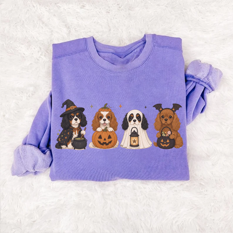 Cavalier King Halloween Sweatshirt