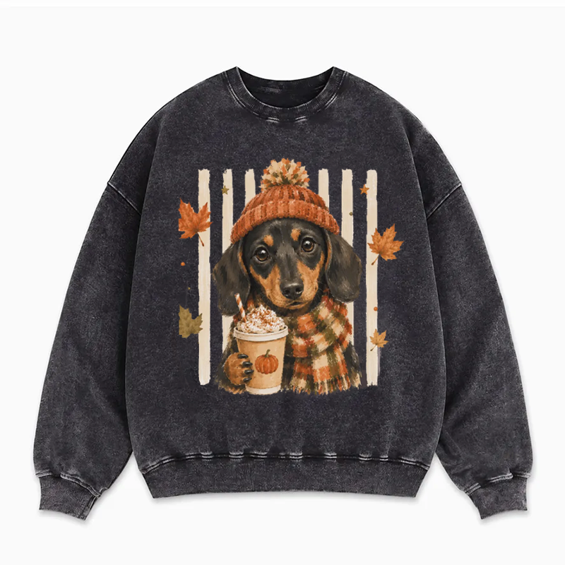Autumn Cosy Dachshund Dog Sweatshirt